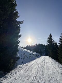 Foto von Heinz Sperl entlang der Tour