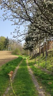 Fotografie z Juliane Jarke na trase