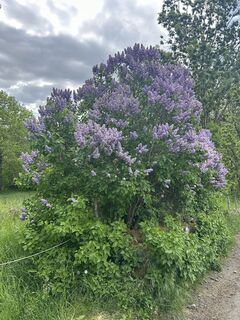 Fotó a Andi Felix honlapról a túra során