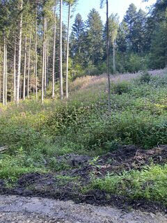 Gemarkungswanderung entlang der Gemarkung Mutlangen