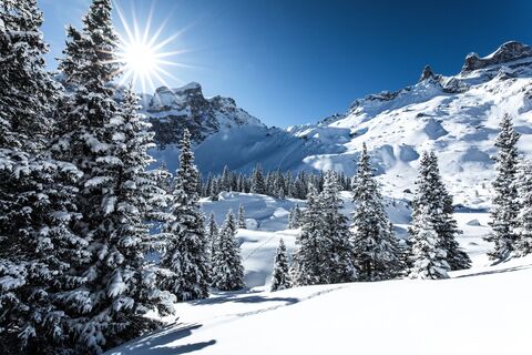 Winterlandschaft Gauertal