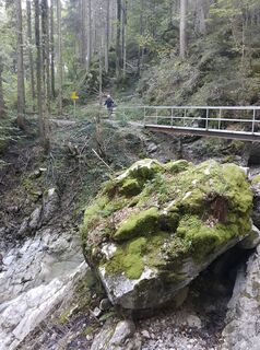 Foto da Daniela Vlasic lungo il tour