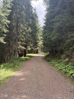Foto von Julia Van beijnen entlang der Tour