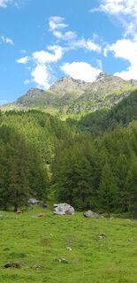 Fotografia z Anselmo Mazzolini na trase