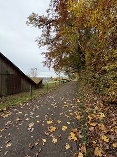 Fotó a ManCam honlapról a túra során