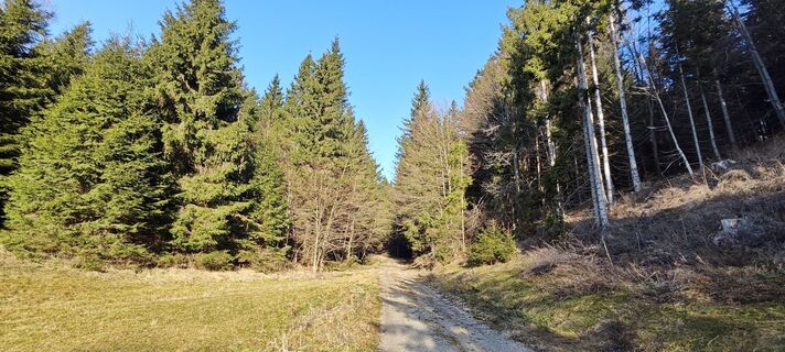 Foto de Franca Škarja a lo largo del recorrido