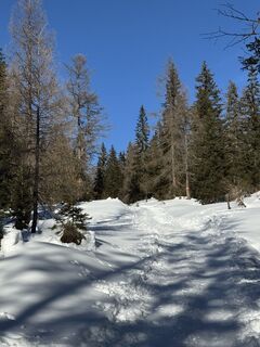 Fotografija s spletne strani Ales Krizek na poti