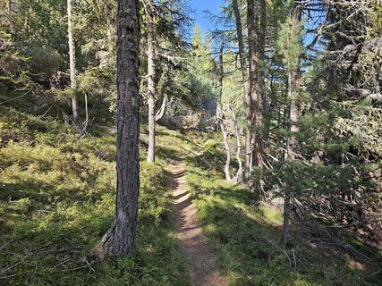 Foto von Christian Hutter 1 entlang der Tour