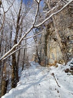 Photo de Angelika Poschinger-Reh le long du parcours