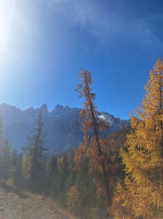 Photo from Günther Karrer along the tour