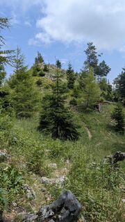 Photo de W.K. le long du parcours