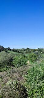 Photo de Giovanni Conversa le long du parcours
