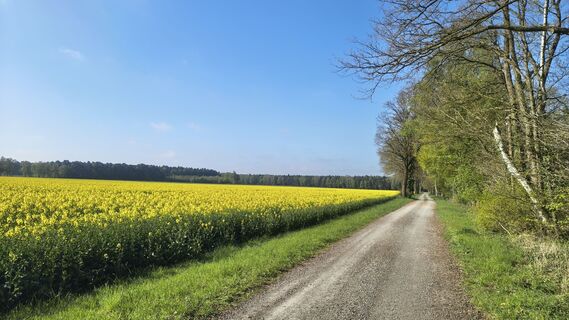 Fotografie z Sauerpurzel na trase