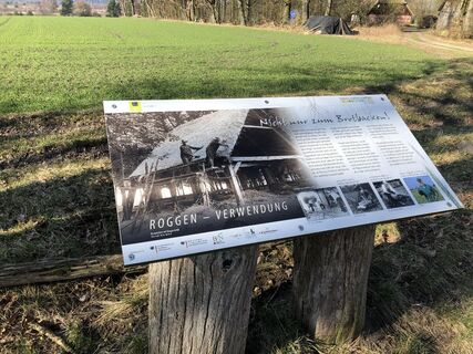 Tafel-Roggen-Wildkrautpfad-Tütsberg-2022-ccbysa-foto©bispingen-touristik-min.jpg