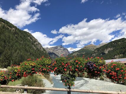 Foto von René Bachmann entlang der Tour