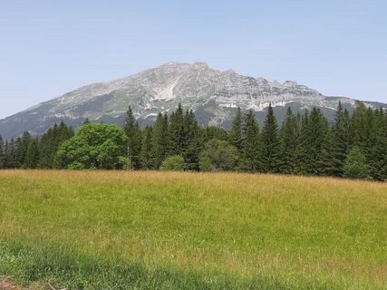 Zemljevid