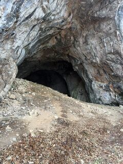 Foto von Elvis entlang der Tour