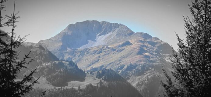 Photo de Silke Vonderlehr le long du parcours