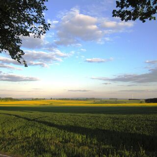 Ottensteiner Hochebene