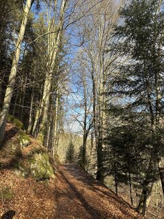 Fotografija s spletne strani Lena Edinger na poti