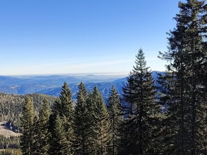 Fotografija s spletne strani Lena Eder na poti