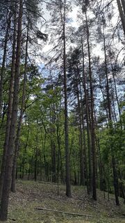 Fotografia z Soňa Mimovičová na trase