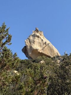 Photo de Rodrigo Martino le long du parcours