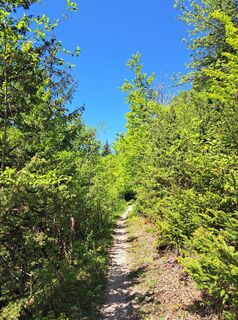 Foto von Hubert Mayer entlang der Tour