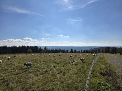 Fotografie de la Patrick Dubois de-a lungul turului