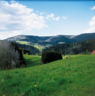 Blick von Schwarzenberg