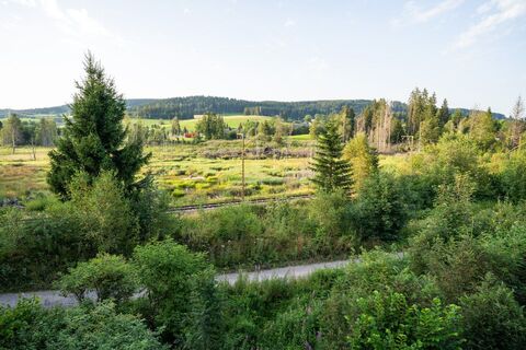 Moor zwischen Titisee und Hinterzarten