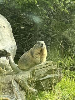 Foto från Karl Heinz Fick under resans gång