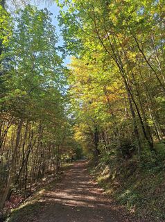 Fotó a Katharina honlapról a túra során