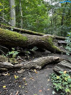 Foto von Ganzheitliche Bewegungsformen entlang der Tour