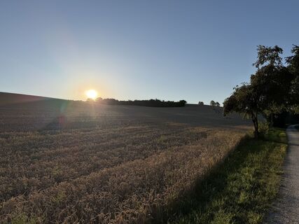 Foto von Schaali entlang der Tour