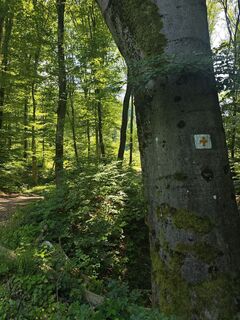 Photo de Katona Ferk Mariann le long du parcours
