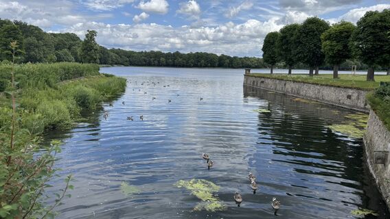 Fotografia z Marcus Draheim na trase