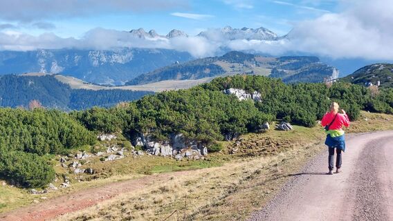 Photo de Thomas Berensmann le long du parcours