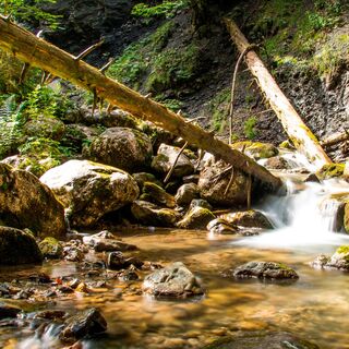 Die Reichenbachklamm
