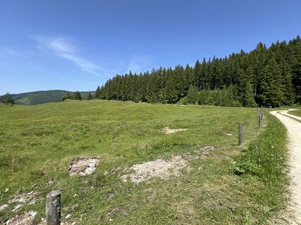 Photo de Martin-S le long du parcours