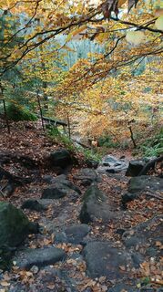 Foto von Fantom RoK entlang der Tour