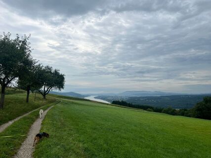 Foto von Tanschi entlang der Tour