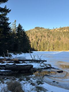 Fotografie z Egon Dullinger na trase