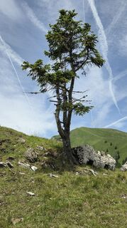 Photo de Klementina Gartner le long du parcours