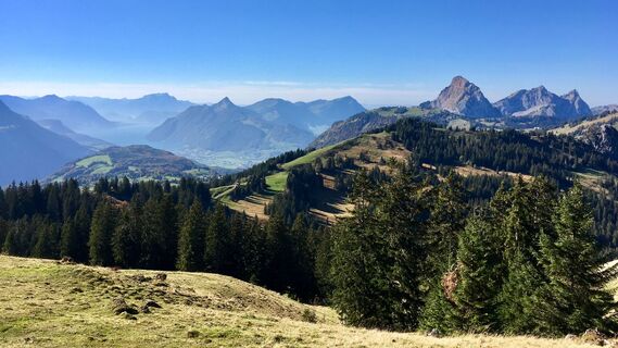 Panorama mit Pilatus, Rigi und Mythen
