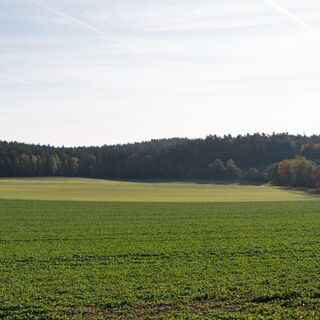 Felder und Wälder entlang des Elbe-Katemin-Wegs