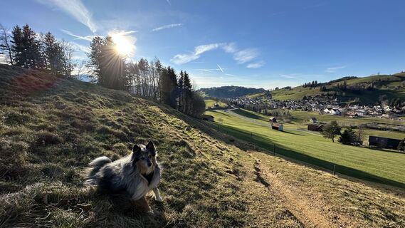 Foto von Norbert Schneider entlang der Tour