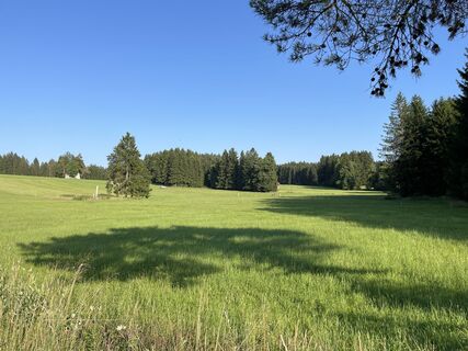 Fotografia z Robert Rettig na trase