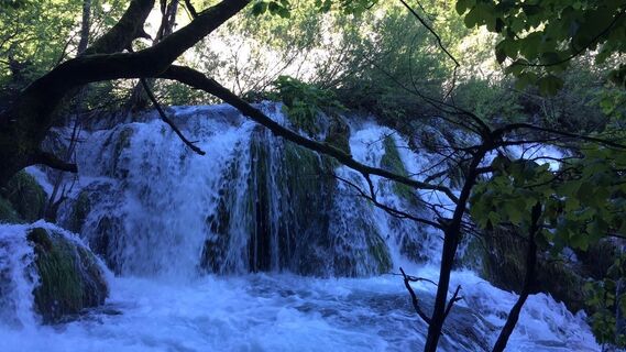 Fotografija s spletne strani Lomalinda na poti