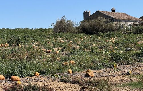 Foto von Heike Hadamus entlang der Tour